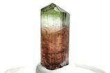 Bicolor Elbaite Tourmaline Crystal - Aricanga Mine, Brazil #206869-2